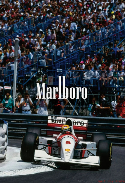 F1 Paintings