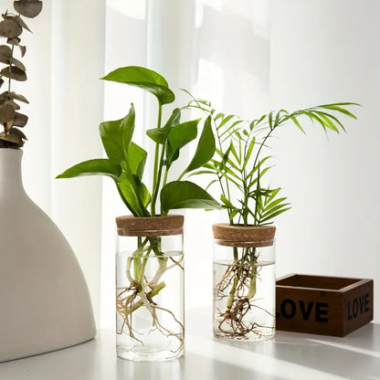 Transparent Vase