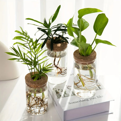 Transparent Vase