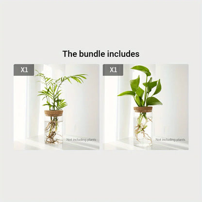 Transparent Vase