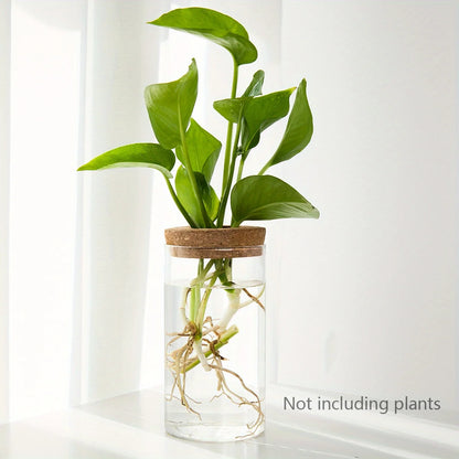 Transparent Vase