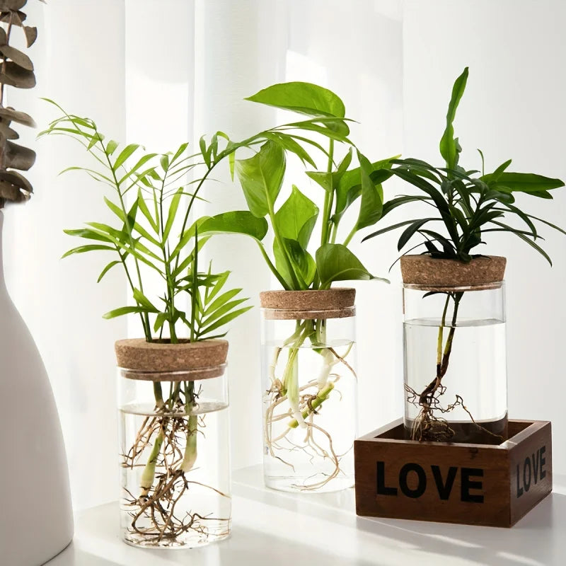 Transparent Vase