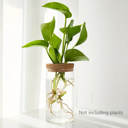 Transparent Vase