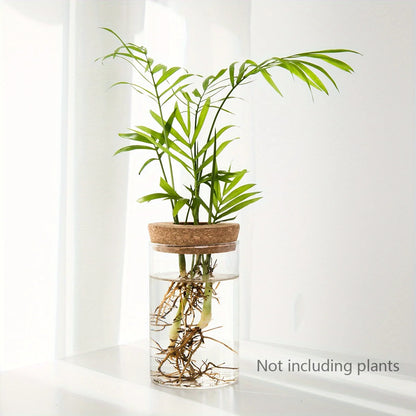 Transparent Vase